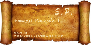Somogyi Paszkál névjegykártya